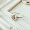 bague poussiere detole
